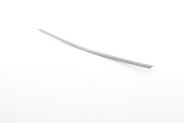 BSG 90-924-060 | Kapı Bandı Arka Sağ Astarlı-Boyanır Tip Passat Bm 97-00