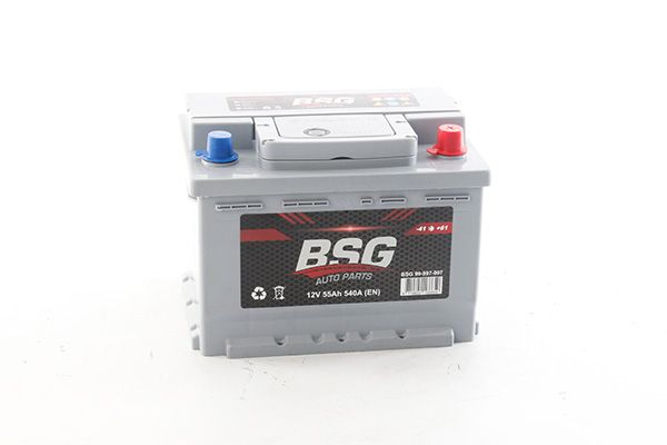 BSG 99-997-007 | Akü (12V 55Ah L2b Düz Mf Exmet Ind Sulu) 242X175x175 (540) Alçak Tip