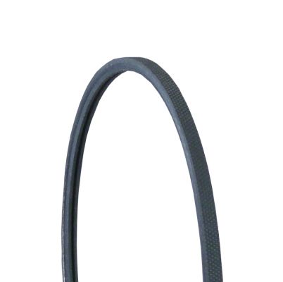 CONTINENTAL CTAM 2PJ838 | Kanallı Kayış (Audi: 80 100)