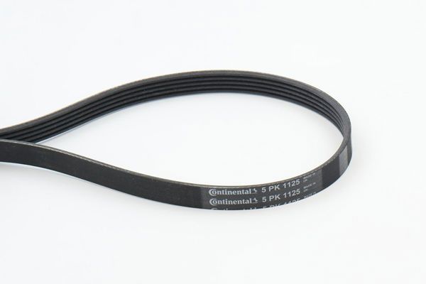 CONTINENTAL CTAM 5PK1125 | V Kayışı 01-Traffic-Vivaro-Laguna 1.9Dci