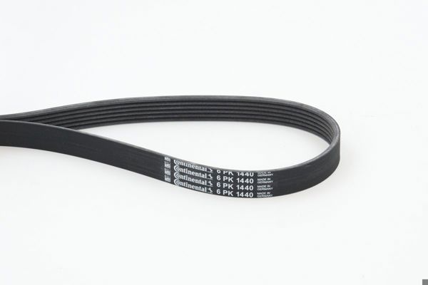 CONTINENTAL CTAM 6PK1440 | V Kayışı 02 > Accent-Getz 1.5Crdi