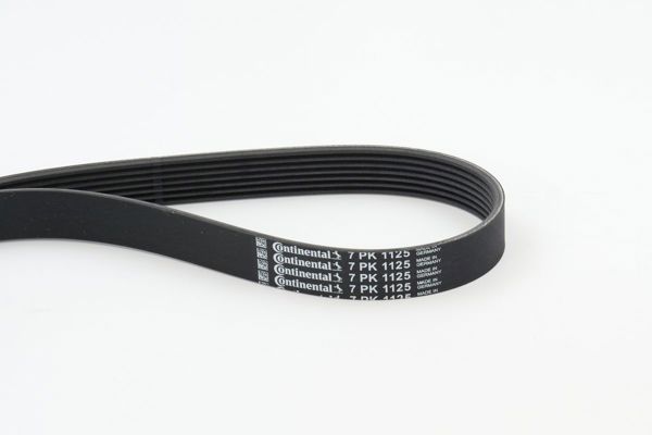 CONTINENTAL CTAM 7PK1125 | Kanallı V Kayışı-(Renault: Megane II-III / Nissan: Juke 10 -)