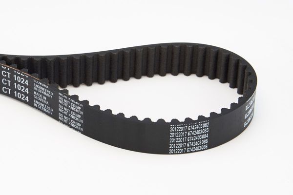 CONTINENTAL CTAM CT1024 | Contınental Ctam / Kayış Mazda 121 B3 91 -