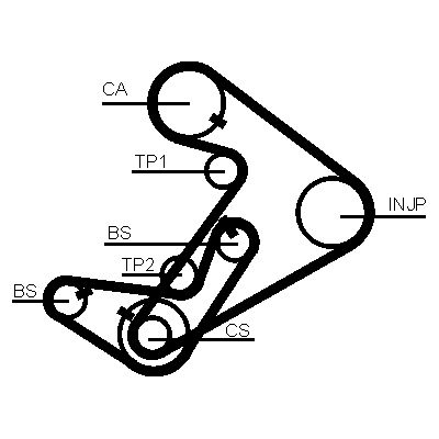 CONTINENTAL CTAM CT938 | Triger Kayışı