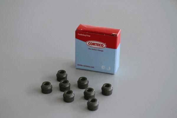 CORTECO 19025684 | Keçe
