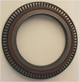 CORTECO 82036752 | (19036752B) Arka Aks Keçesi 135X175 / 205X18 F / N 80 Man