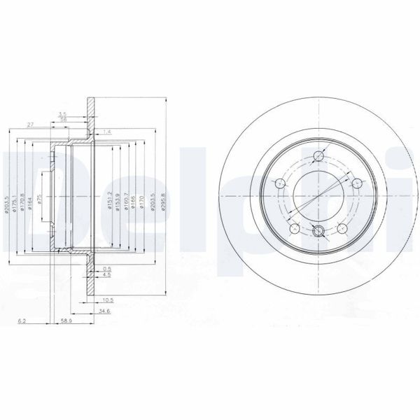 DELPHI BG3960 | Arka Fren Diski BMW E81/E87/E90/E91 1.18-3.20