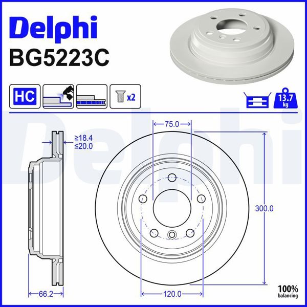 DELPHI BG5223C | Fren Diski (Çiftli Paket)-Boyalı, Delikli