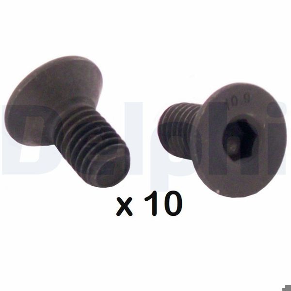 DELPHI BGK008 | Disk Civatası | 1 Adet