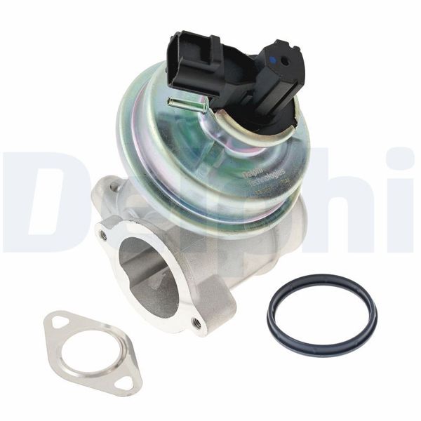 DELPHI EG10449-12B1 | EGR Valfi