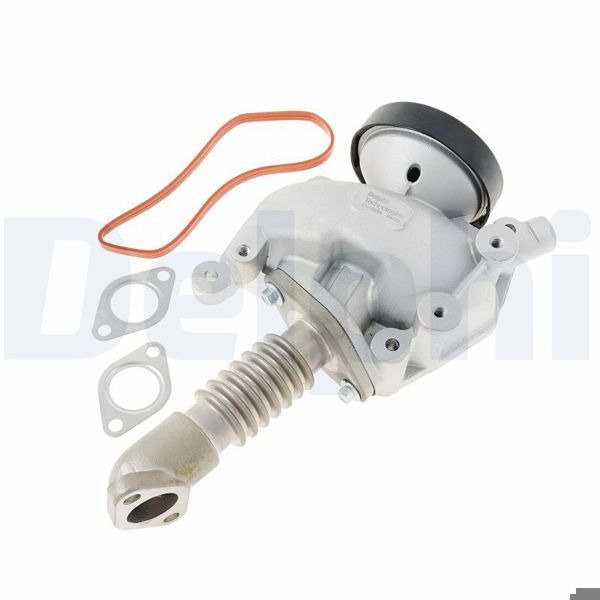 DELPHI EG10619-12B1 | EGR Valfi