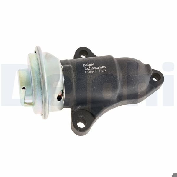 DELPHI EG10648-12B1 | EGR Valfi