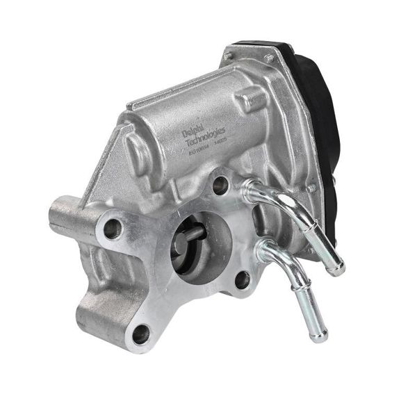 DELPHI EG10654-12B1 | EGR Valfi