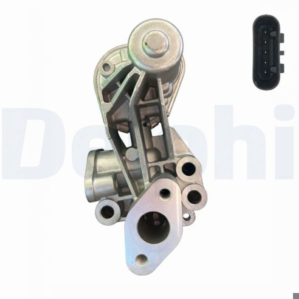 DELPHI EG10655-12B1 | EGR Valfi