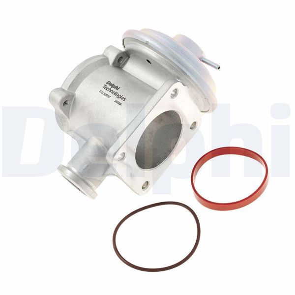 DELPHI EG10657-12B1 | EGR Valfi