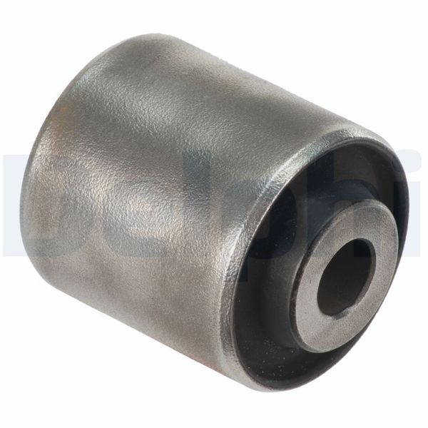 DELPHI TD1004W | Alt Salıncak Burcu
