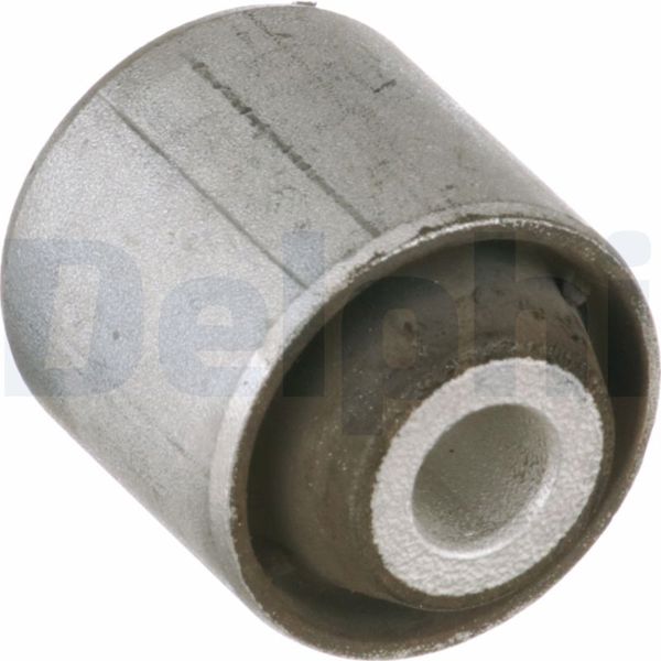 DELPHI TD1681W | Salıncak Burcu