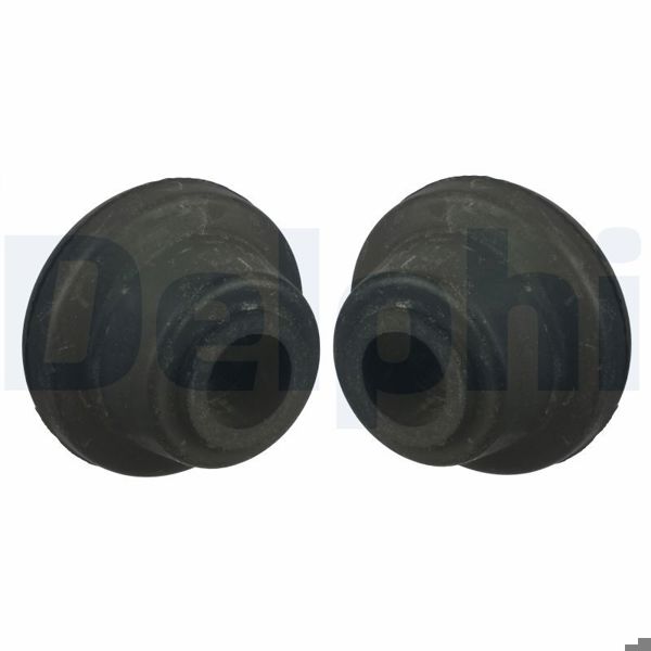 DELPHI TD993W | Alt Salıncak Burcu