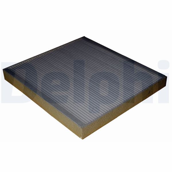 DELPHI TSP0325244 | Kabin Filtresi