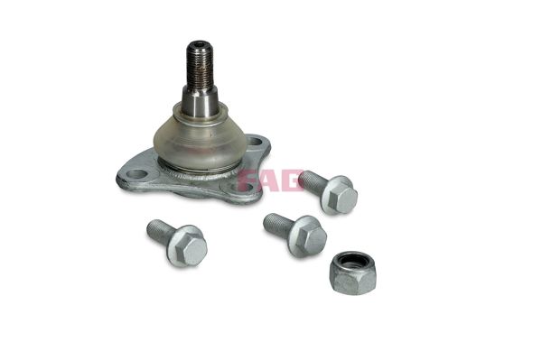 FAG 771055230 | Aks Kafası Dıs Tamir Takımı (Teker Tarafı Dıs Freze:35. Teker Tarafı Ic Freze: 29. Boy:198mm.) Ducato III Boxer III Jumper III 3.0 HDI / 3.0Jtd Multijet 06 -