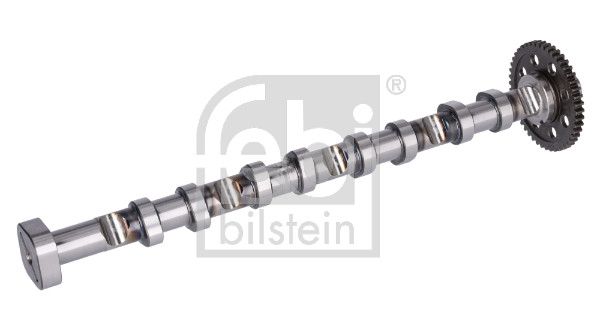 FEBI BILSTEIN 178379 | / Egsoz Eksantrik Mili VW