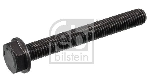 FEBI BILSTEIN 18162 | / Krank Mili Kep Saplaması (Metrık 10X80mm) VW Tum Modeller 10 / | 10 Adet