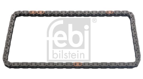 FEBI BILSTEIN 48572 | Eksantrik Zinciri