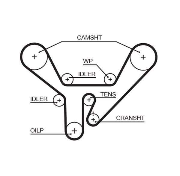 GATES 5518XS | Eksantrik Kayışı (Audi: A6 / A8 4.2 Quattro 94 -)