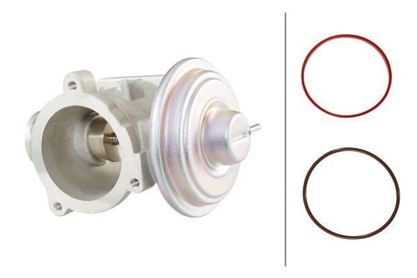 HELLA 6NU010171-701 | EGR Valfi M47n / M57n
