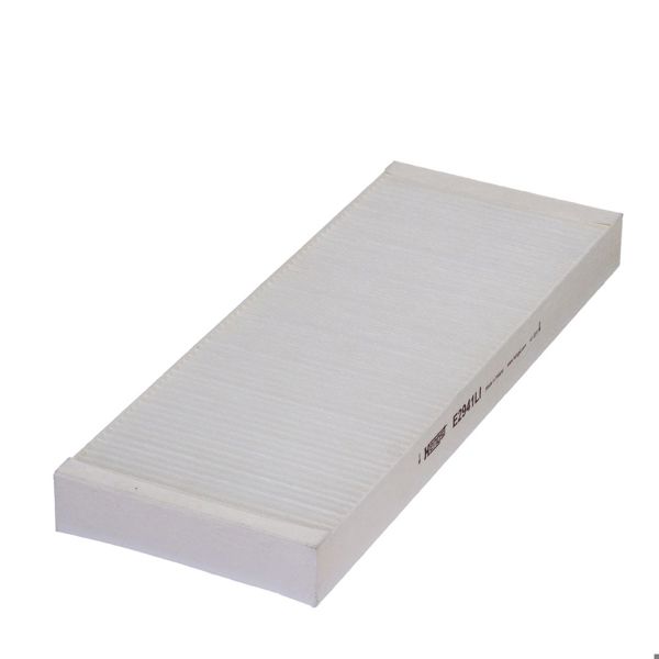 HENGST E2941LI | Polen Filtresi