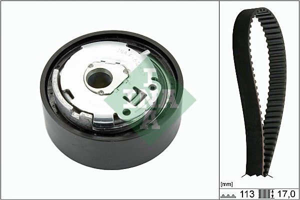 INA 530066310 | Kayış Triger P.Dışı