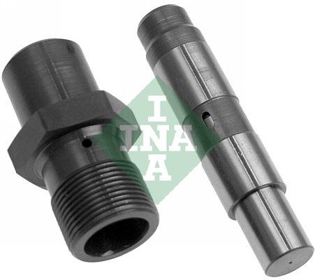INA 551004810 | Zincir Gergisi E46 M3 01 >