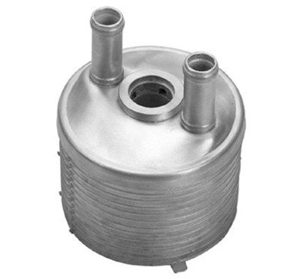 MAGNETI MARELLI 359001601860 | Yağ Soğutucusu Şanzıman VW 1.9 TDI