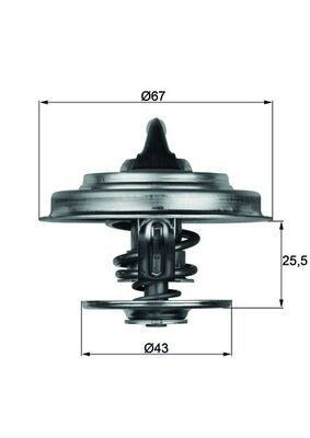 MAHLE TX1865 | Termostat 65°C M.Benz Actros Alfa Romeo GT V 2000 71-77