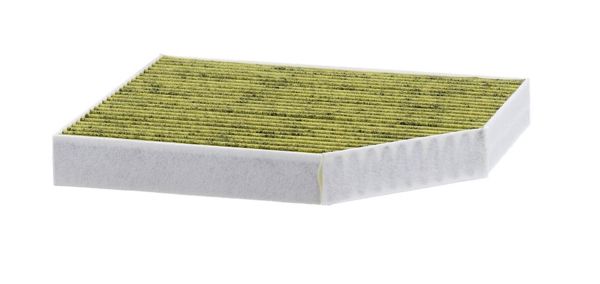 MANN FP 2450 | Polen Filtresi E2948lc / Lak386 (Karbonlu)