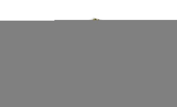 MANN FP26005 | Kabin Filtresi Karbonlu (Renault Megane III 1.4 1.6V 1.5 DCI 2010 -)