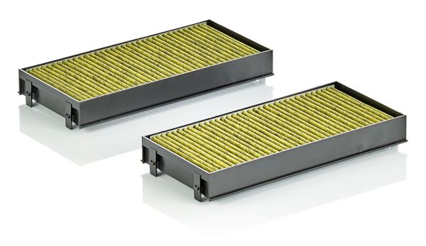 MANN FP2941-2 | Polen Filtresi Karbonlu