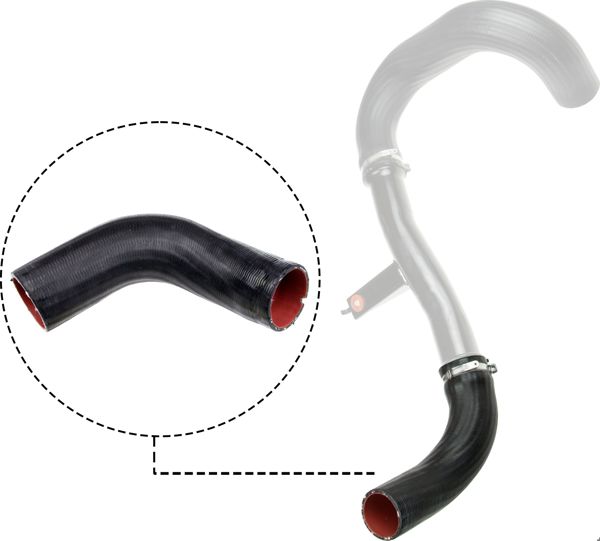 RAPRO 11812 | Turbo Hortumu (Silikon) (Küçük) Fiat Ducato III 2.3 JTD