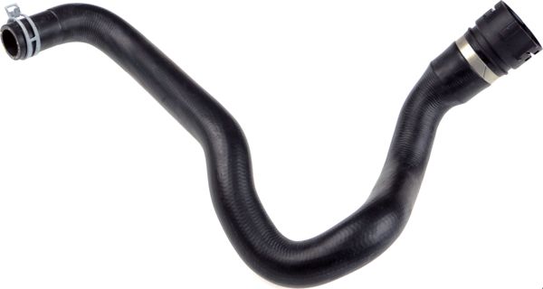 RAPRO 16365 | Radyatör Alt Hortumu Ford Focus III 1.6 TDI