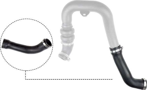 RAPRO 16436 | Turbo Hortumu Büyük (Ford: Ranger 2.2 TDCI 11->)