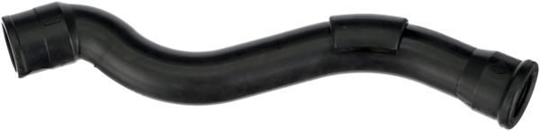 RAPRO 25983 | Motor Havalandirma Hortumu Seat Alhambra 1.9 TDI