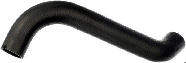 RAPRO 36376 | Radyatör Alt Hortumu Iveco Daily III 2.8 TDI-JTD