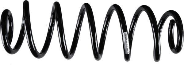 SACHS 994857 | Helezon Yayı Arka