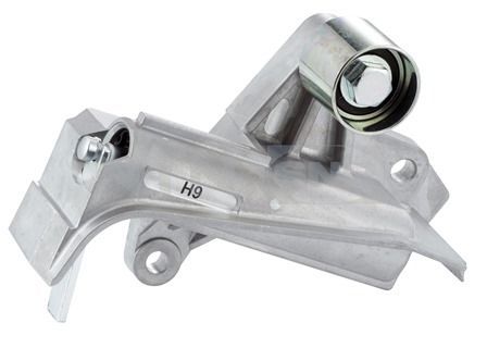 SNR GT35743 | Eksantrik Gergi Rulmanı