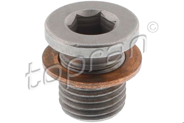 TOPRAN 115351 | Karter Tapası VW | 10 Adet