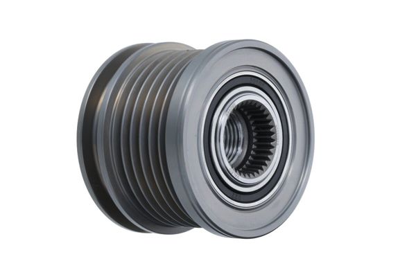 VALEO 588095 | Rulmanlı Kasnak Opel,Renault