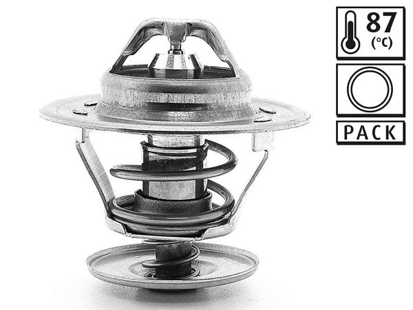 VALEO 819868 | Termostat Seat Toledo 91 87 C