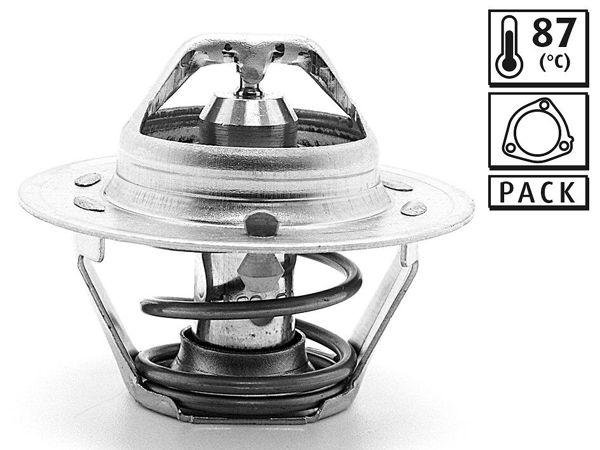 VALEO 819875 | Termostat 96-Rr.200-Rr.400 89°C | 1 Adet