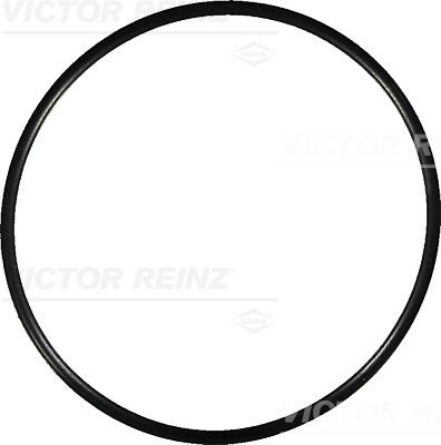 VİCTOR REİNZ 40-76766-20 | Emme Manifold Contası BMW E34 M5 S38