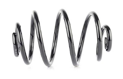 BSG 65-305-015 | Helezon Yayı Arka